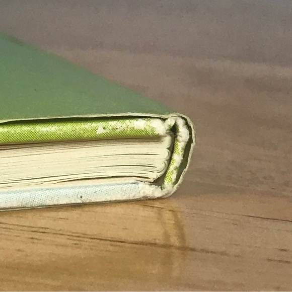 Flower Fairies of the Spring by Cicely Mary Barker - Picture 3 of 10